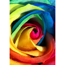 Rainbow Rose 20*30 cm WD023