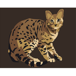 Paint by Numbers Kit Bengal Cat 16.5x13 cm T16130064