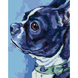 Painting by Numbers kit Boston Terrier 16.5x13 cm T16130067