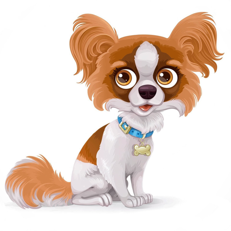 Papillon dog 20*20 WD3023