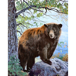 Brown Bear 38*48 cm WD083