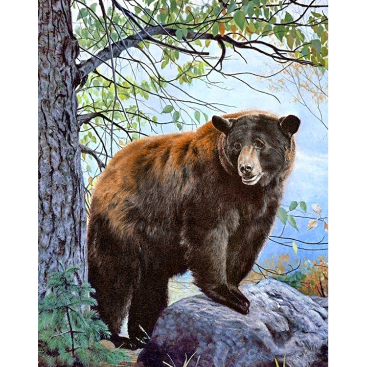 Brown Bear 38*48 cm WD083