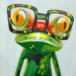 Colourful Frog 20*20 cm WD2373