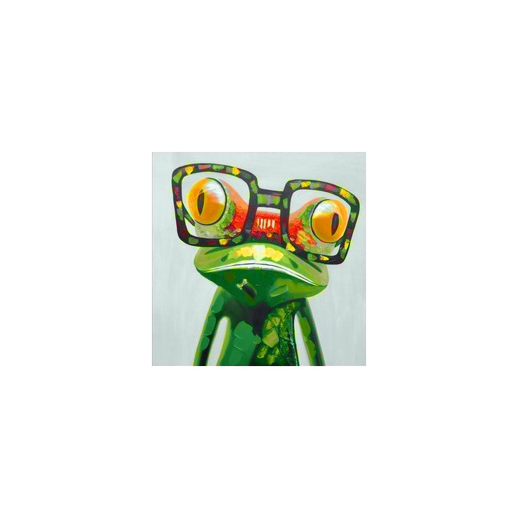 Colourful Frog 20*20 cm WD2373