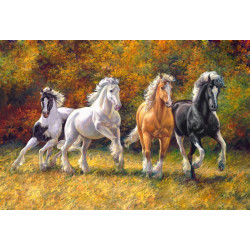 Gallop 100*68 cm WD2388