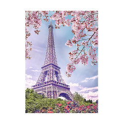 SPRING IN PARIS 27*38 cm WD124