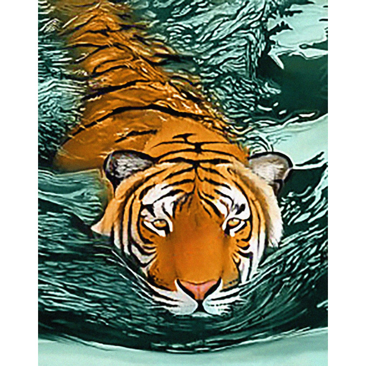 copyright (SALE) Tiger Waters 38*48 cm WD2413