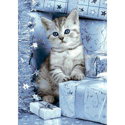 copyright SALE Kitten and Christmas Presents 27*38 cm WD2417