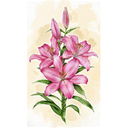 LILIES WD2582