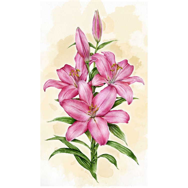 LILIES WD2582