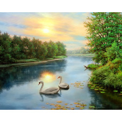 SWANS AT DAWN WD2607