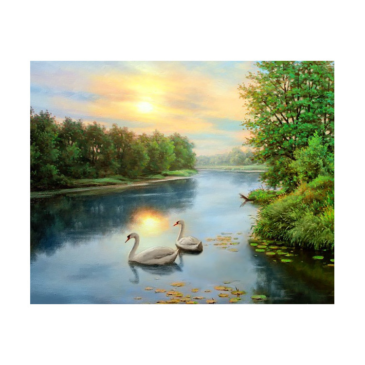 Swans at dawn  50*40 cm WD2607