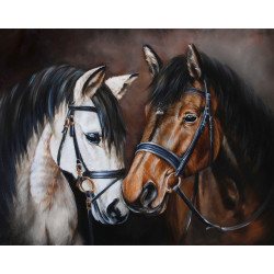 Horse Tenderness WD2469