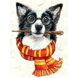 Border collie wizard 30*40 cm WD2697