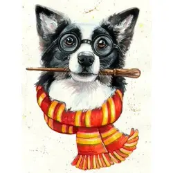 Border collie wizard 30?40 cm WD2697