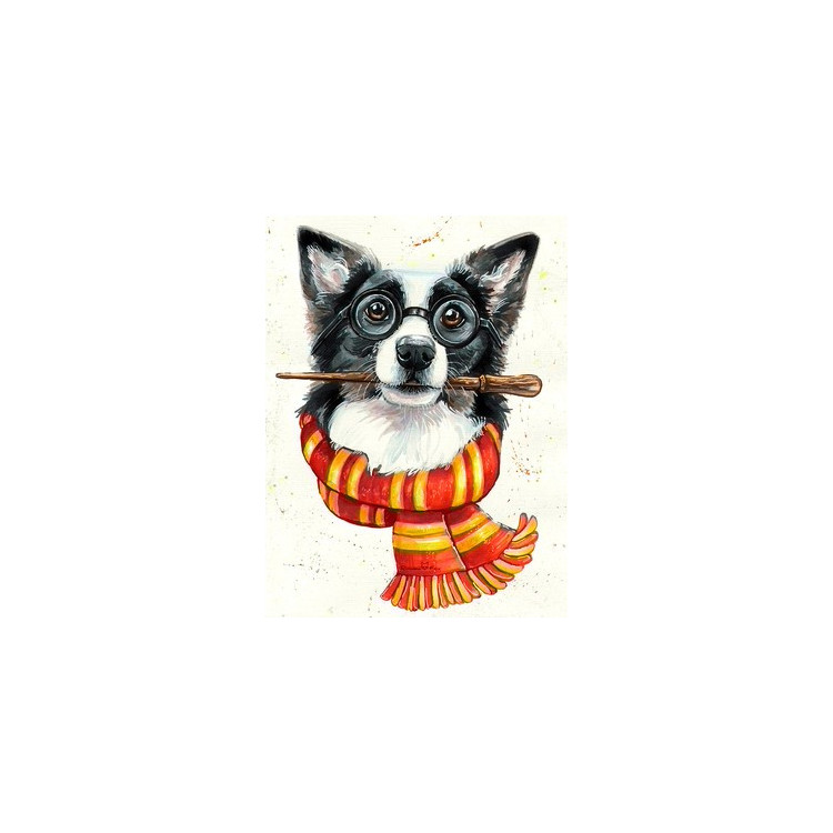 Border collie wizard 30*40 cm WD2697