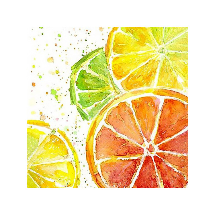 Citrus Mix 20*20 cm WD289