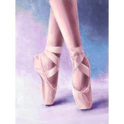 Pointe shoes 30*40 cm WD3002