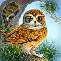 Owl and Owlets  38*38 cm WD2494