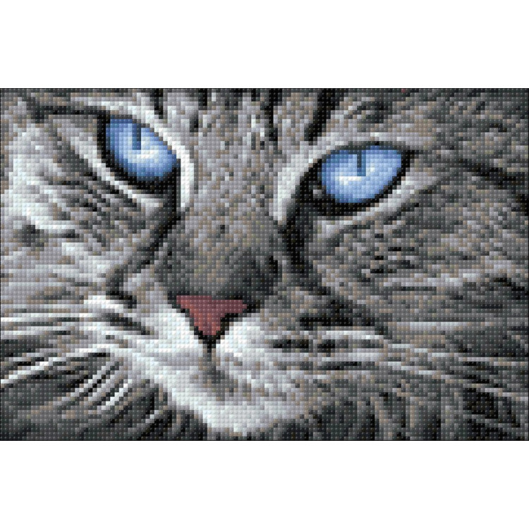 Blue-Eyed Cat WD2517