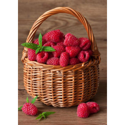 Raspberry Basket WD252