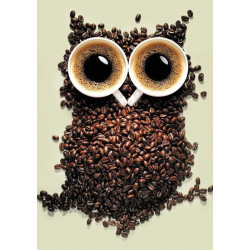 Coffee Owl 20 х 30 cm WD242