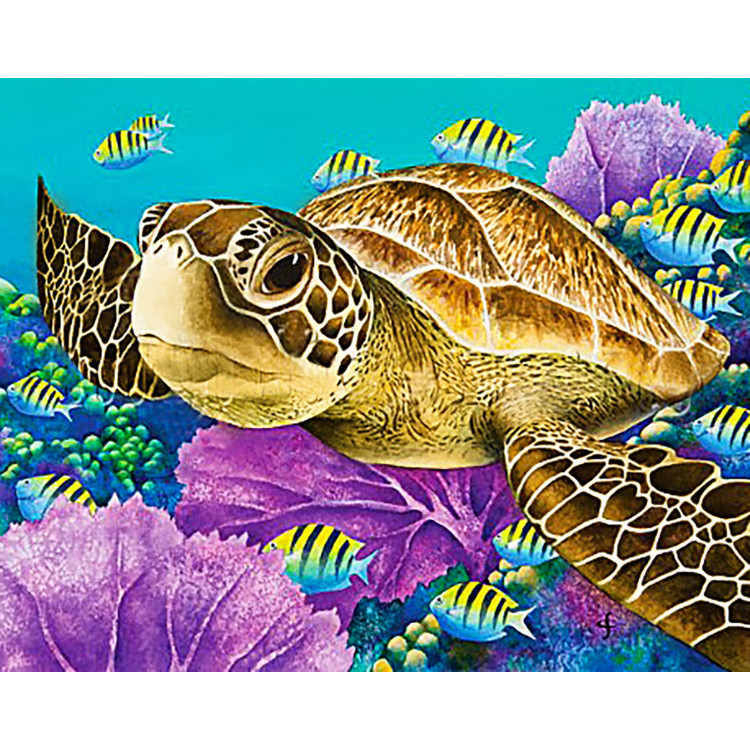 copyright SALE (discontinued) Young Green Sea Turtle 48*38 cm WD2428