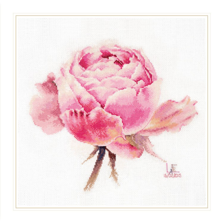 Watercolor roses. Pink exquisite S2-53