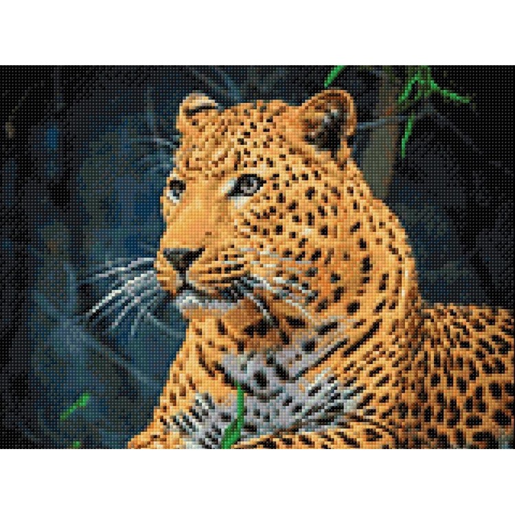 Leopard 40x30 WD3036