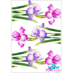 Rice card for decoupage "Irises No. 2" 21x29 cm AM400134D