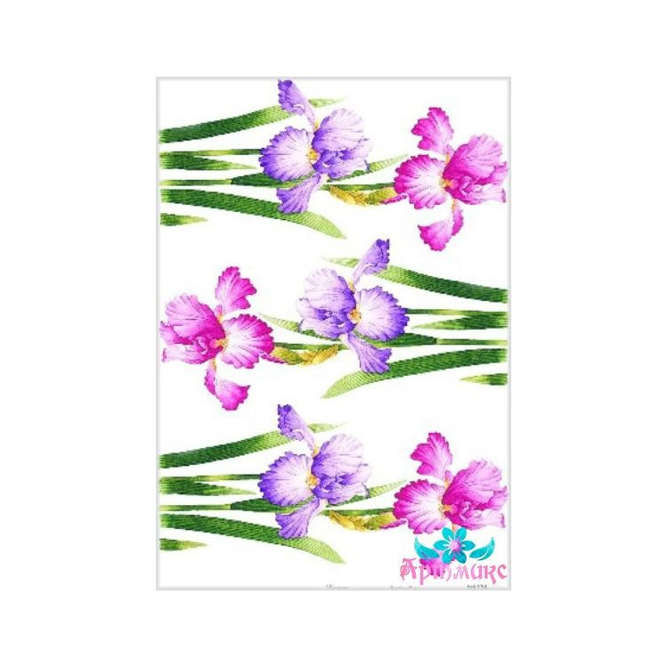 Rice card for decoupage "Irises No. 2" 21x29 cm AM400134D