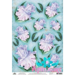 Rice card for decoupage "Delicate irises on a turquoise background" 21x29 cm AM400178D