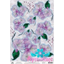 Rice card for decoupage "Apple flowers" 21x29 cm AM400179D