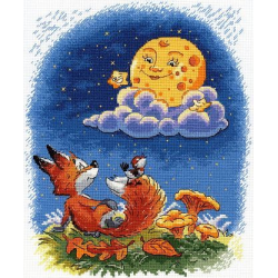 Cross-stitch kit "Night conversations" SNV-787