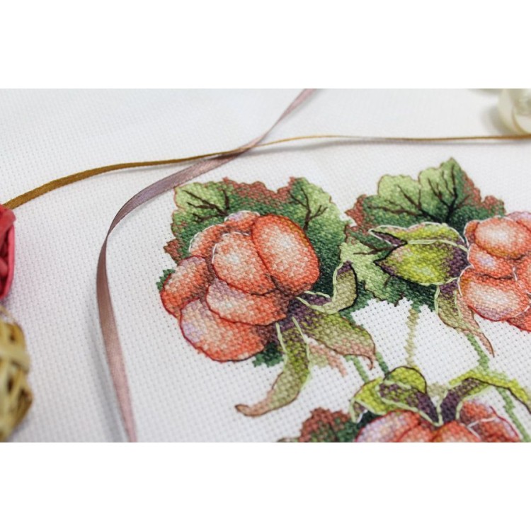 Cross stitch kit  "Gifts of nature. Cloudberry" SNV-815