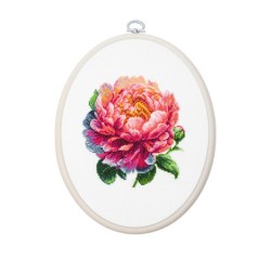 Coral Charm Peony 12x12cm SBC205