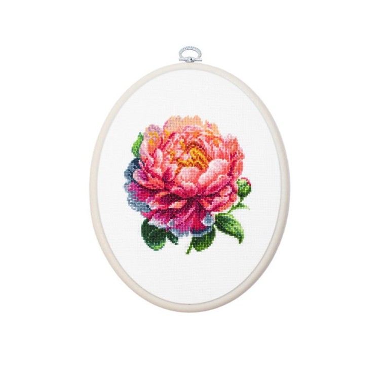 Coral Charm Peony 12x12cm SBC205