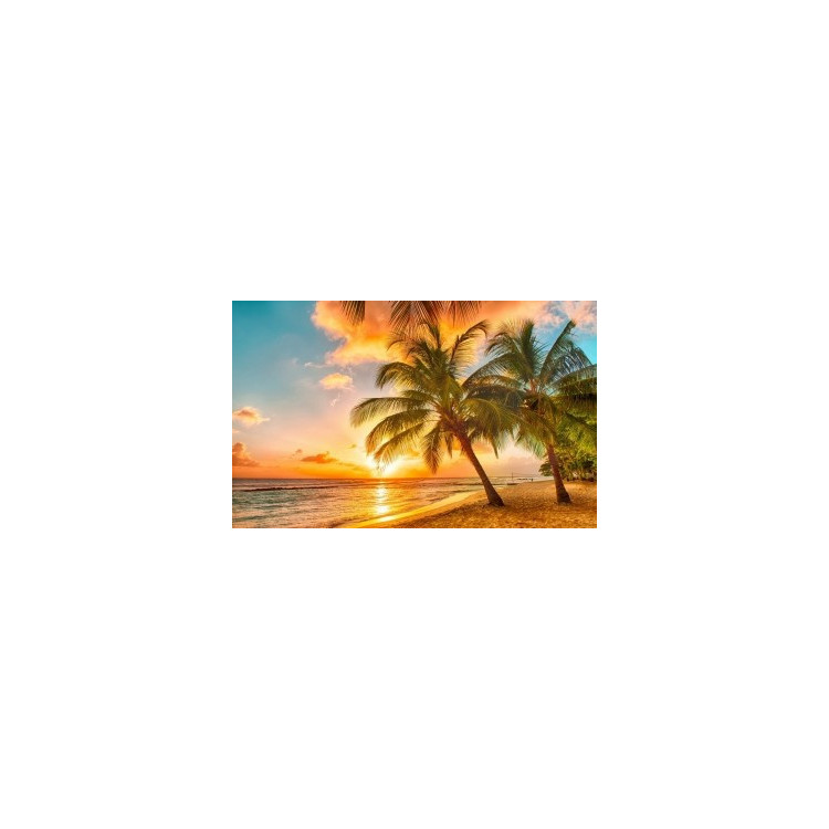 Картина стразами "Тропический закат"     AZ-1063