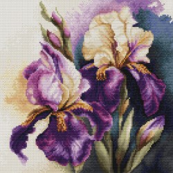 Iris Burgermeister 22x22cm SB7023