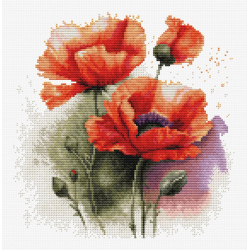 The Poppy Flowers 21x21cm SB7024