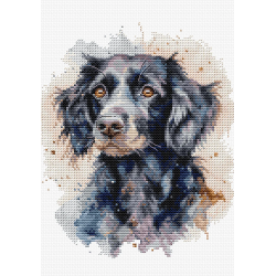 The Border Collie 17x20cm SBC213