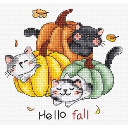 Hello Fall 12 x 12 cm SLETIL8078