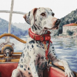 The Dalmatian on Lake Como 29x29cm SBU5039