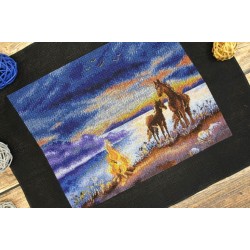 Cross stitch kit "Summer night" SNV-819