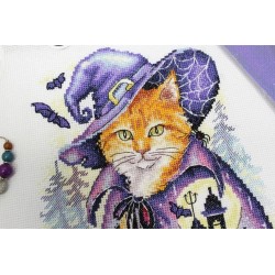 Cross stitch kit "Mysterious place" SNV-842