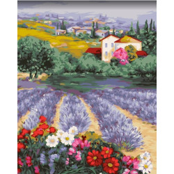 WIZARDI PAINTING BY NUMBER KIT. PROVENCE EXPANSE 40X50 CM A142