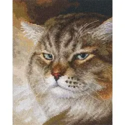 Cross-stitch kits "Sly and extremely beautiful. «MACHO»" RTOM995