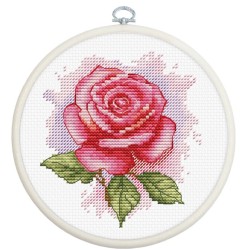 Rose Aroma 9 x 9.5 cm BC105