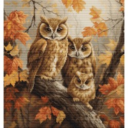 The Owls Family 27x29cm SBU5045