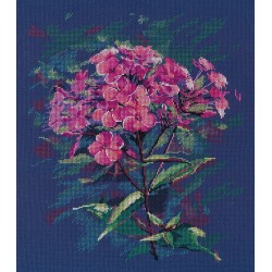 Cross-stitch kit "Phloxes" S1590